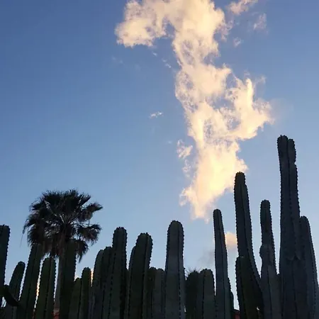 Rdg Puertito de Guimar