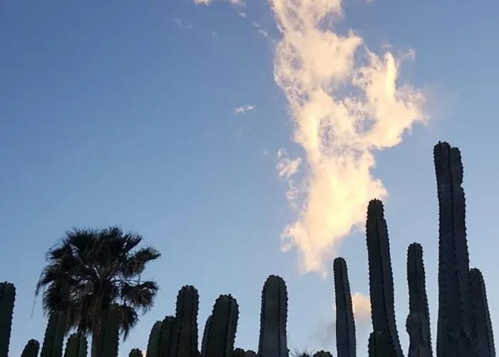 Rdg Puertito de Guimar